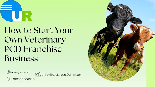 How to Start Your Own Veterinary PCD Franchise Business