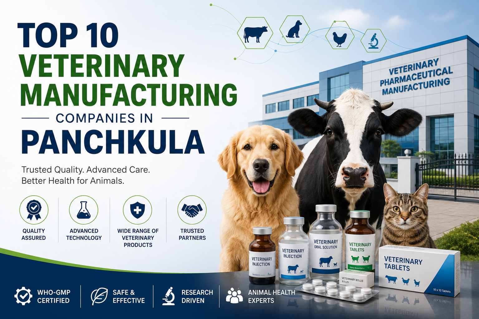 Top 10 Veterinary Manufacturing Companies In Panchkula - Uniray Lifesciences